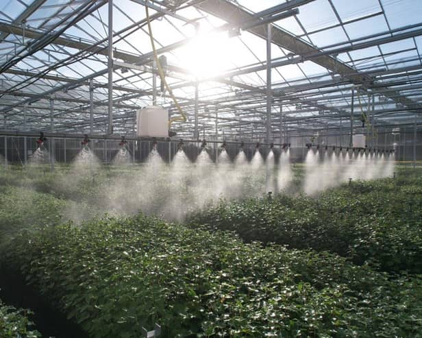 Its ultra-efficient tree nursery in Fife is the world’s first to be verified carbon-negative
