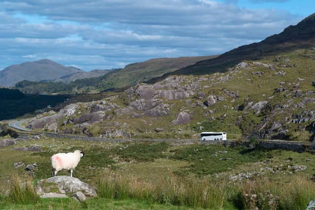 Stephen Kelly, the Derry-based Chief Executive of Manufacturing NI, has raised the ‘ridiculous’ case of a Derry priest who couldn't go on a bus run to Donegal and called for a review of the Common Travel Area (CTA).