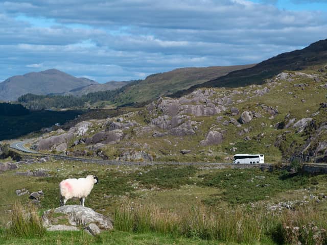 Stephen Kelly, the Derry-based Chief Executive of Manufacturing NI, has raised the ‘ridiculous’ case of a Derry priest who couldn't go on a bus run to Donegal and called for a review of the Common Travel Area (CTA).