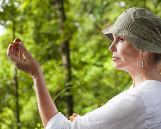 Joanna Lumley holding a harvested nutmeg kernel in a nutmeg forest in Banda, a remote Indonesian island