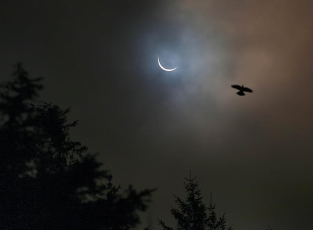 View of a solar eclipse from Killylane Reservoir, Larne, in 2015.
