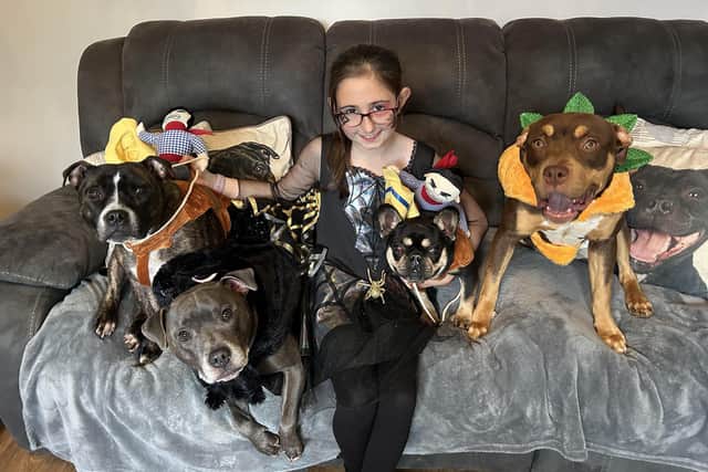 Grace all dressed up with some of the dogs she fostered.