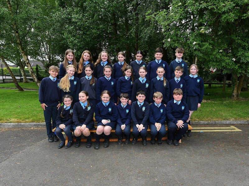 Mr McNulty’s P7 class at Hollybush Primary School.