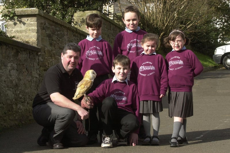 Children from Culmore Primary School got a visit from a barn owl when they presented a cheque to Seamus Burns from the Ulster Wildlife Trust after they raised £100 in a non uniform day. Included are from left, Conor O'Hare, David Gilliland, Karl McCarron, Saoirse Lennon and Rachel Twells.