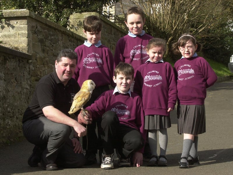 Children from Culmore Primary School got a visit from a barn owl when they presented a cheque to Seamus Burns from the Ulster Wildlife Trust after they raised £100 in a non uniform day. Included are from left, Conor O'Hare, David Gilliland, Karl McCarron, Saoirse Lennon and Rachel Twells.