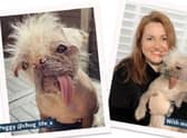 Peggy, the winner of the Ugly Dog contest