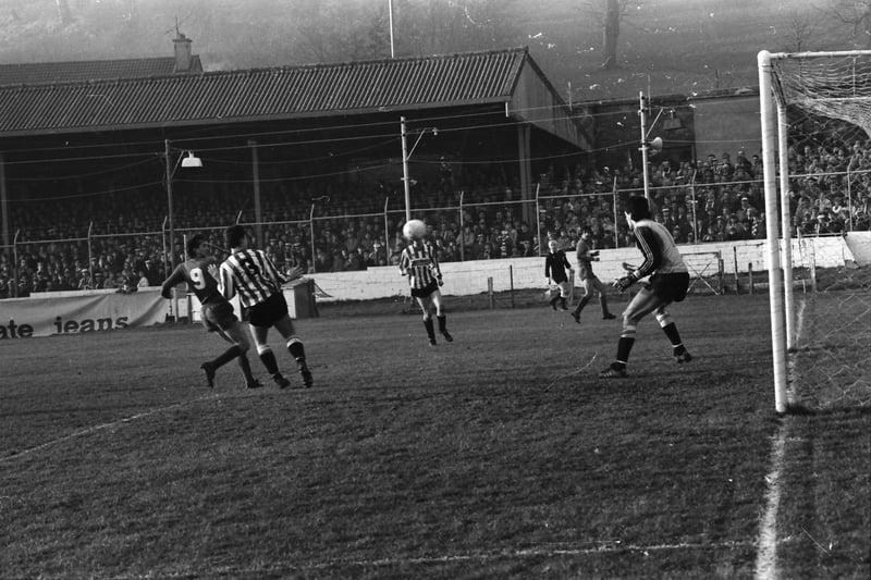 Red Star forward Borislav Cvetković gets an attempt on target.