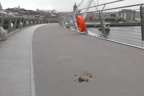 A previous episode of dog foul on the Peace Bridge. 