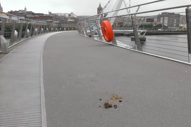 A previous episode of dog foul on the Peace Bridge. 
