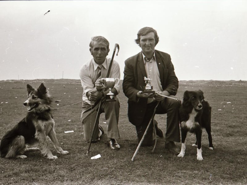 Clonmany Festival and Clonmany Sheepdog and Agricultural Show.