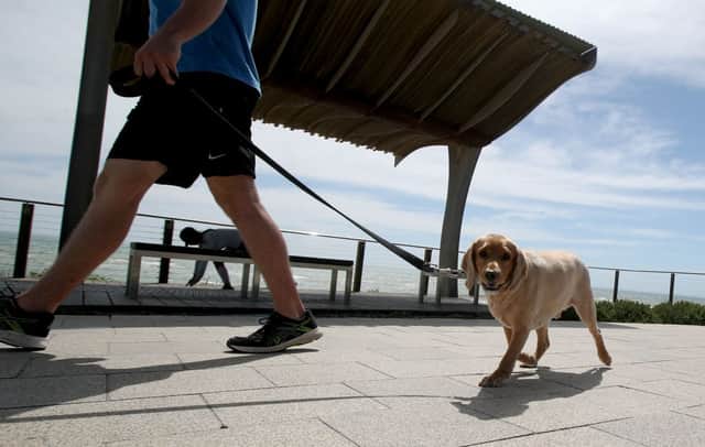 Do you know how to red your dogs body language? (Photo: Kelly Barnes/Getty Images)