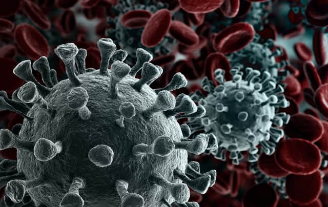 16 cases of the new variant have been identified in the UK (Photo: Shutterstock)