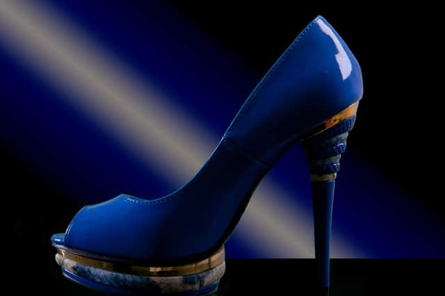 Not a pair of shoes but one lady's shoe - must have been a really special pair!