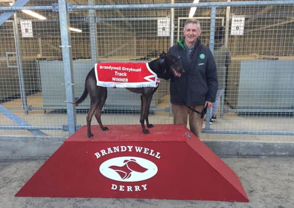 Gathering momentum.... Greyhound 'Brexit Can Go' with owner Tony Maxwell.