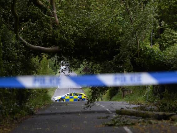 There are many reports of fallen trees blocking roads across the North. (Photo: Pacemaker)