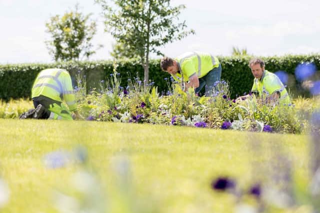 Gardeners adding a splash of colour at the beautiful seaside town of Buncrana ahead of visitors arriving for the Irish Open. (Picture by Brendan Diver)