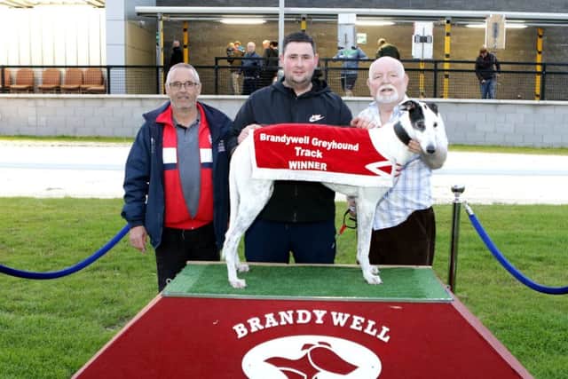 The Caughtbysurprise 300 sprint winner, Dooneen Bandit pictured with, from left to right, Patsy Doyle (Brandywell Dog Racing Supporters Group), Brendan McLaughlin and Lorny McMonacle (winning owner).