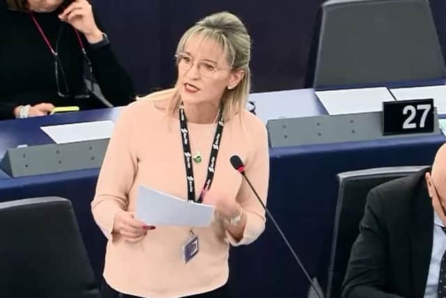 Sinn Fein M.E.P., Martina Anderson, speaking in the European Parliament, Strasbourg on Wednesday morning. (Photo/Video: European Parliament)
