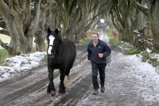 Danny McKinley from Sheans Horse Farm exercises his horse on the "Dark Hedges" as snow melts across Northern Ireland