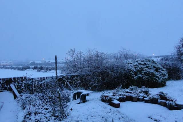 A snowy scene in Carndonagh this morning.