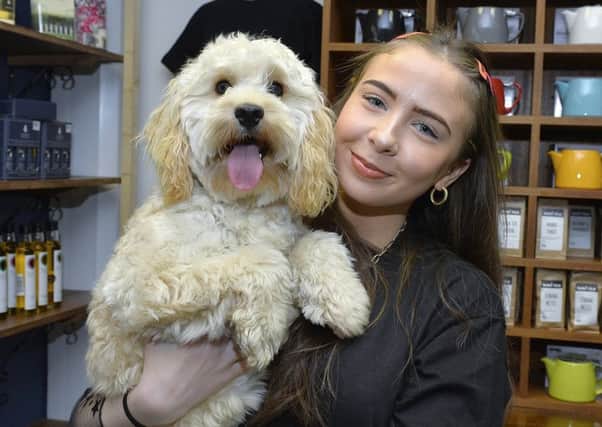 Nicole Gamble pictured with April, her Cockapoo, who won the recent Face of Warehouse Café Facebook competition. The competition organised by Moria McClure, from the dog friendly café and Above and Beyond, attracted  an unexpected 500 entries. DER0819GS-026