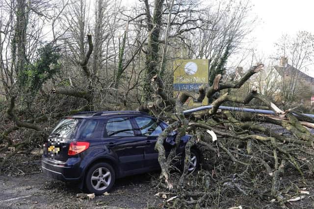 A tree is brought down on top of a car by Storm Erik in the North of Ireland last month. (Photo: Pacemaker)