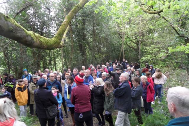Over 100 people gathered in Prehen for the Annual Bluebell Walk.
