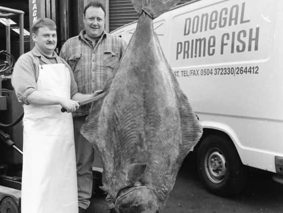 A halibut caught off Rockall and landed in Greencastle in 1994.