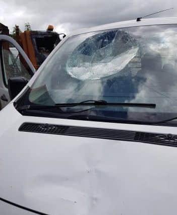 Damage caused to a van after horses were set loose in Creggan.