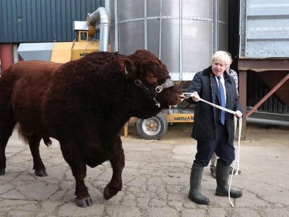 Prime Minister Boris Johnson walking a bull during a visit to Darnford Farm in Banchory near Aberdeen to coincide with the publication of Lord Bew's review and an announcement of extra funding for Scottish farmers. (Photo: Andrew Milligan/P.A. Wire)