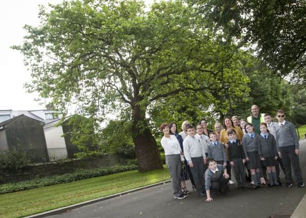 Mayor Michaela Boyle pictured at Brooke Park with children from local primary schools lending their support for the Knobbly Tree in the N. Ireland Tree of the Year competition.
