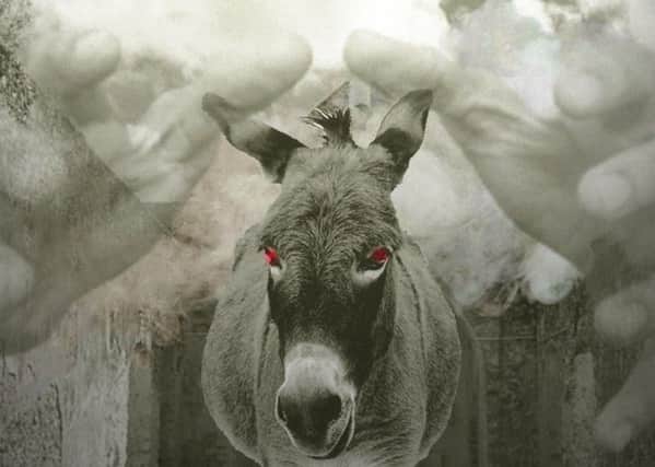 The Devil's Donkey is coming to the Nerve Centre this weekend.