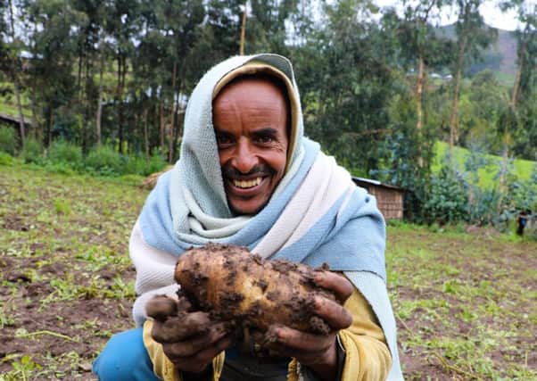 Concern supported farmer Ahimed Ali Mahamed, happily shows off potato crop produce.  Ethiopia. Photo: Jennifer Nolan / Concern Worldwide