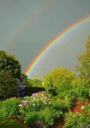The Rainbow Project will be running two gardening projects from next month.