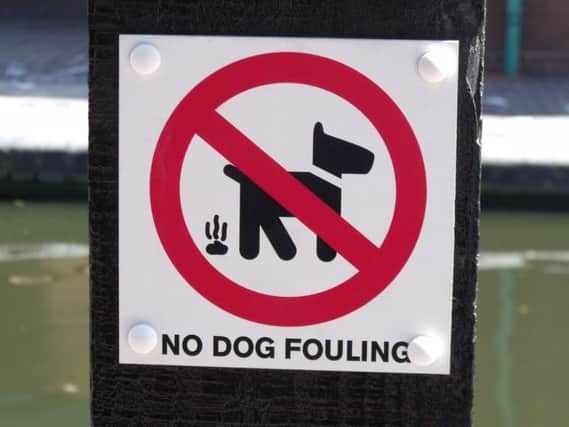 Councillors have called for a crack down on dog fouling in the city and district.