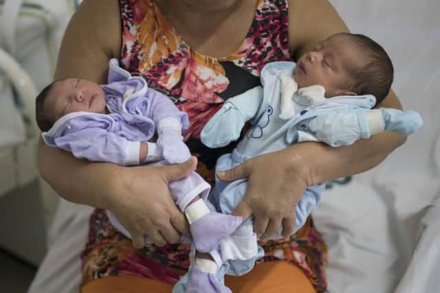 Severina Raimunda holds her granddaughter Melisa Vitoria, left, who was born with microcephaly and her twin brother Edison in Recife, Pernambuco state, Brazil, Wednesday, Feb. 3, 2016. The zika virus is spread by the Aedes aegypti mosquito, which is well-adapted to humans, thrives in people's homes and can breed in even a bottle cap's-worth of stagnant water. The Zika virus is suspected to cause microcephaly in newborn children. (AP Photo/Felipe Dana)
