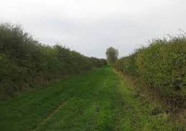 It was proposed that Council charge Â£360 to investigate high hedges complaints.
