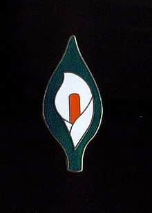 Easter Lily.