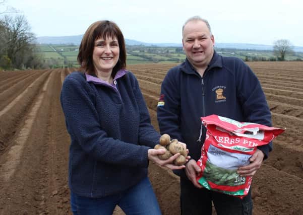 Cochranes Potatoes Farm is open as part of Open Farm Weekend
