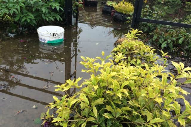 Part of Joy McGrory's garden, flooded.