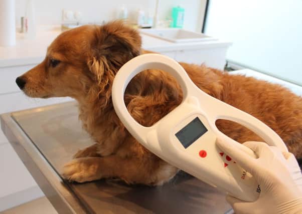 Council is holding free microchipping clinics
