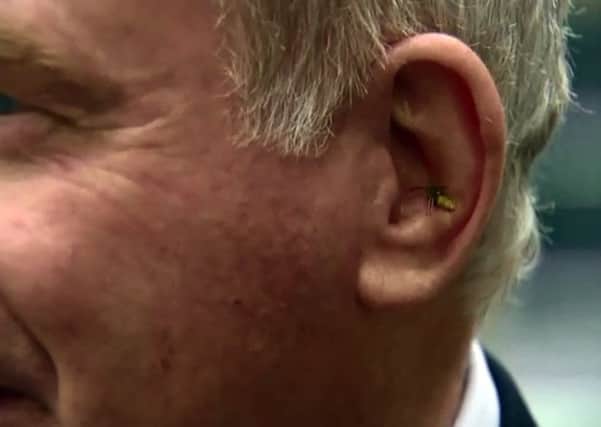 The wasp landed on Mr. McGuinness' ear during a television interview.