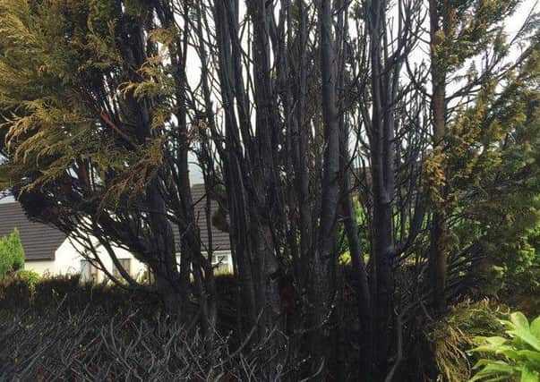 Damage after the fire