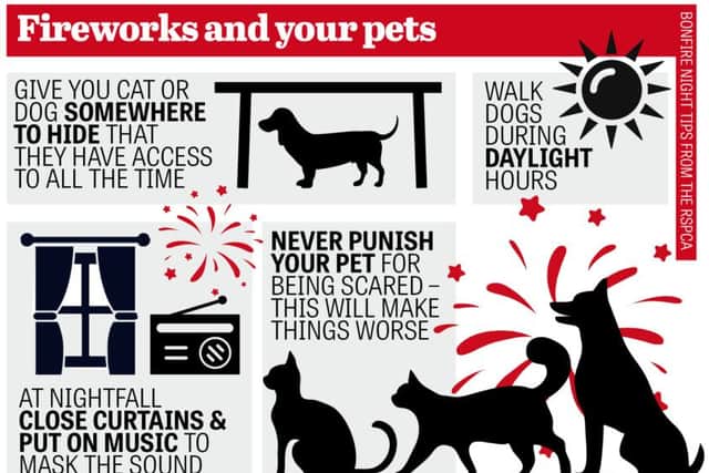 Some tips on how to help your pet cope with fireworks.