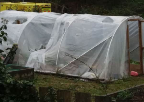 The vandalised polytunnel and allotments