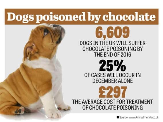 Animal Friends say over 6,000 dogs will suffer chocolate poisoning by the end of 2016