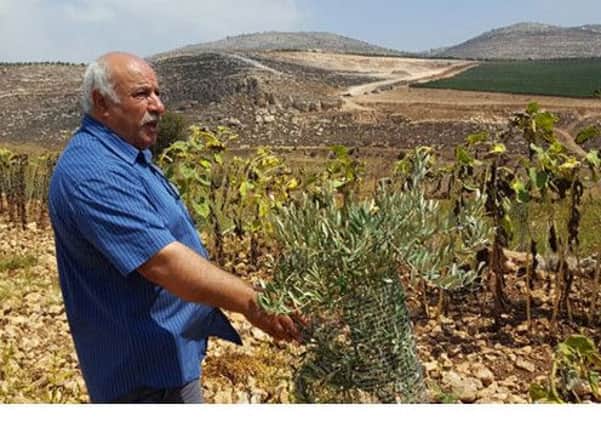 Fathi Shabana (65) is a farmer from the Shilo Valley in the northern West Bank