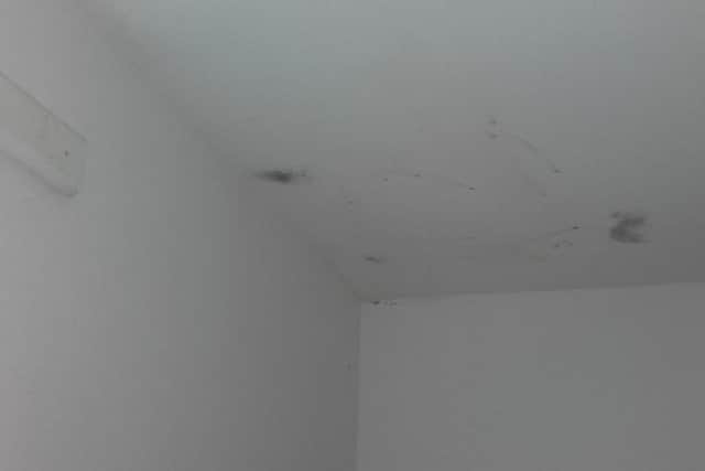 Patches of mould on the ceiling of one family's bedroom