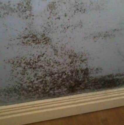 Residnet's photo taken previously of mould along the wall of a living room in Cornshell Fields.