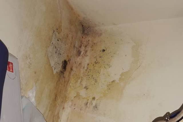 Resident's photo taken previously of mould and damp in the corner of a family's bedroom in Cornshell Fields.